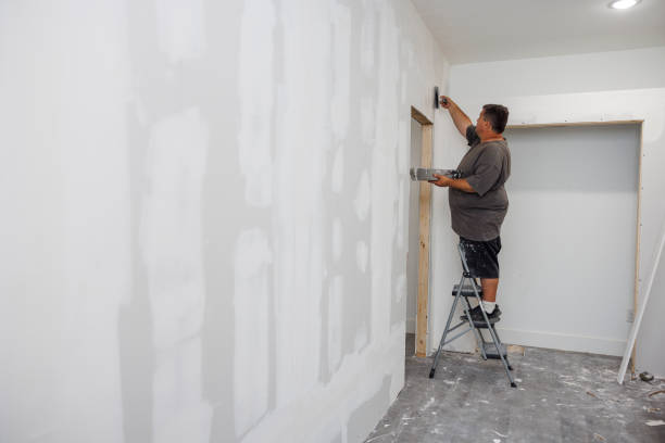 Best Asbestos and Lead Testing During Mold Inspection  in Tchula, MS