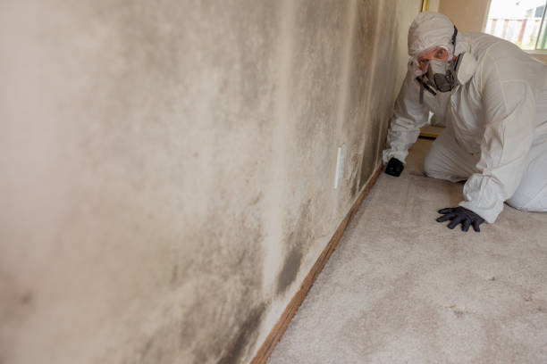 Best Post-Remediation Verification Testing  in Tchula, MS