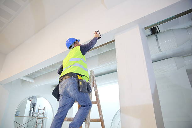 Best Mold Damage Restoration  in Tchula, MS