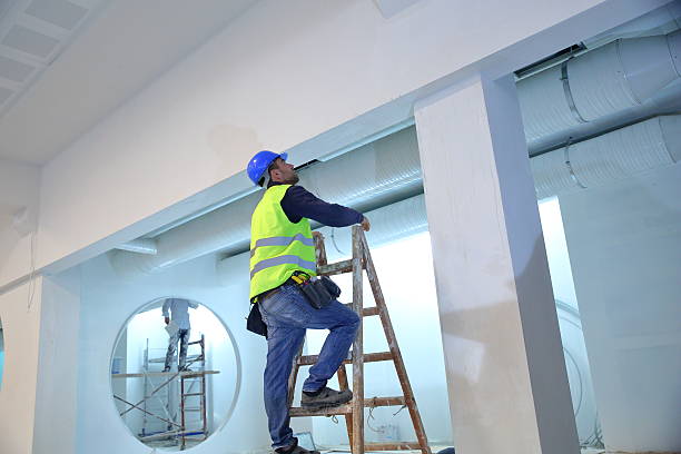 Best Black Mold Removal  in Tchula, MS